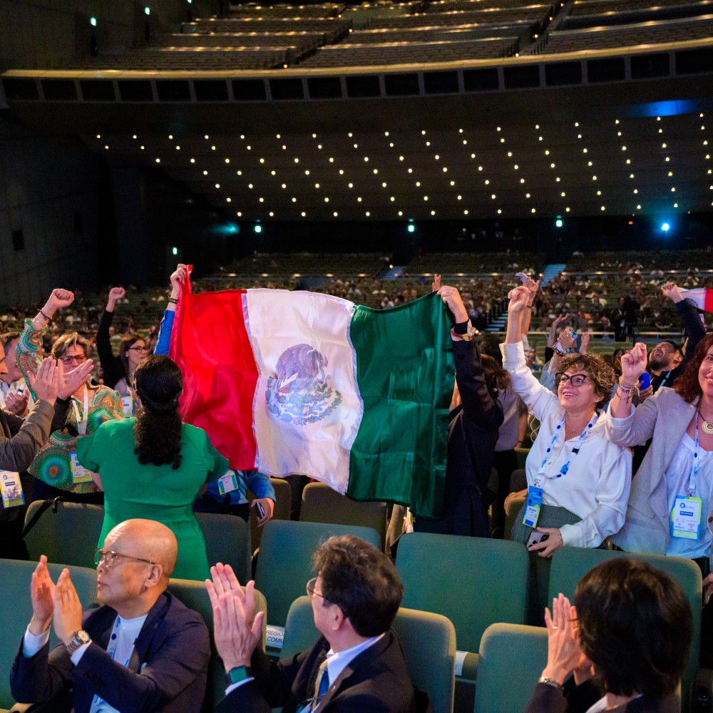 World Physiotherapy Congress 2025 closing session